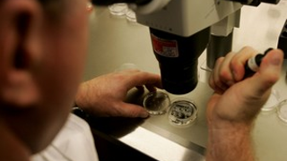 Egg Freezing: A Good Backup, Or "Harmful To Feminism"?